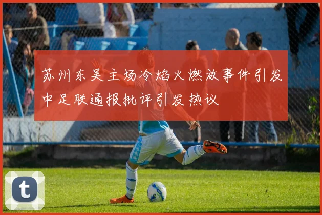 苏州东吴主场冷焰火燃放事件引发中足联通报批评引发热议