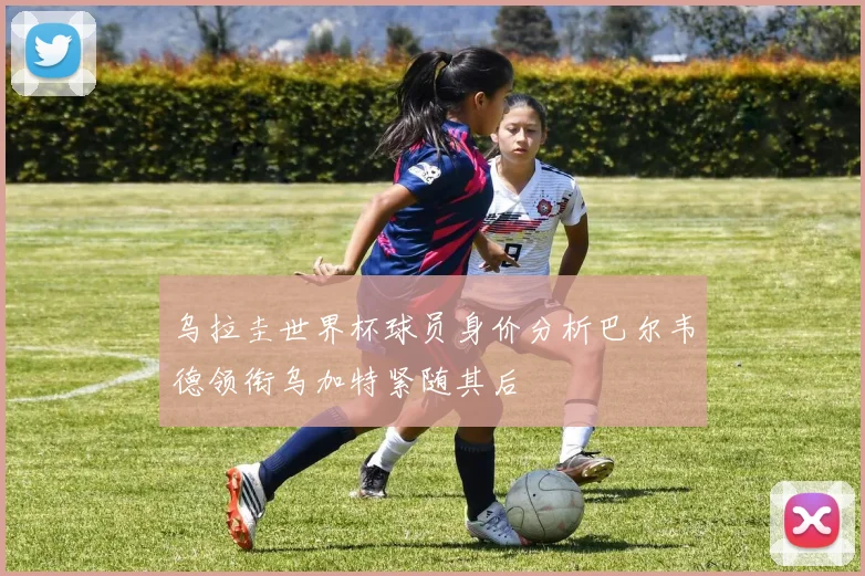 乌拉圭世界杯球员身价分析巴尔韦德领衔乌加特紧随其后