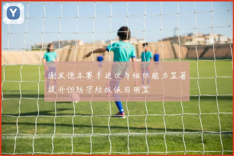 谢泼德本赛季进攻与组织能力显著提升但防守短板依旧明显